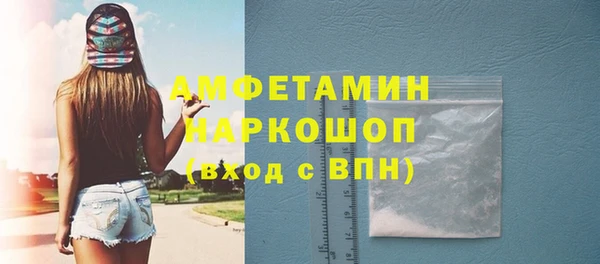 прущие грибы Горно-Алтайск