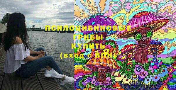 прущие грибы Горно-Алтайск