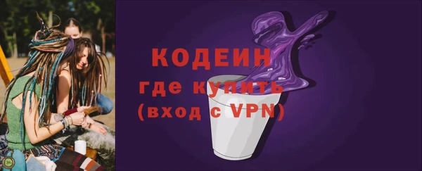 прущие грибы Горно-Алтайск