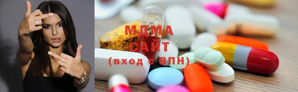 прущие грибы Горно-Алтайск