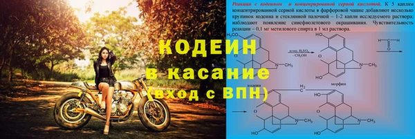прущие грибы Горно-Алтайск