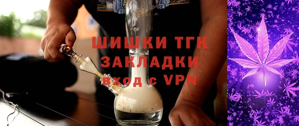 прущие грибы Горно-Алтайск