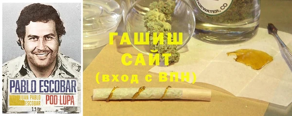 прущие грибы Горно-Алтайск
