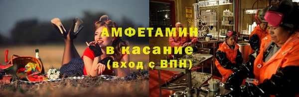 прущие грибы Горно-Алтайск
